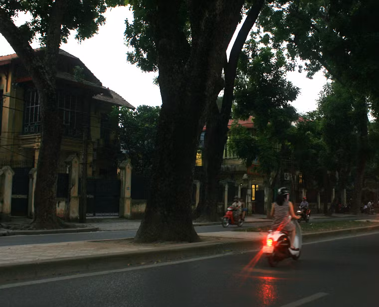 Đường Hoàng Diệu đã trải qua những ngày thấm đẫm nước mắt, nay lại trở về với dáng vẻ yên bình quen thuộc.