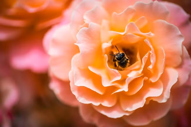 Sang nam 2024, 3 con giap gieo phuoc gap lanh, cua na doi dao