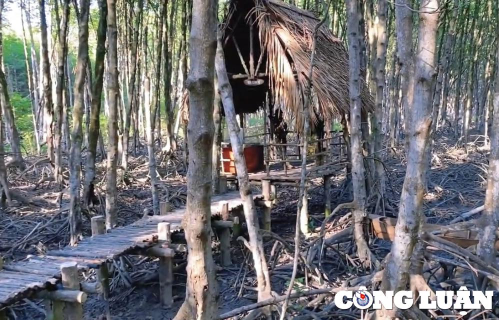 Dao khi Can Gio - diem du lich hap dan cho chuyen di ngan ngay-Hinh-3