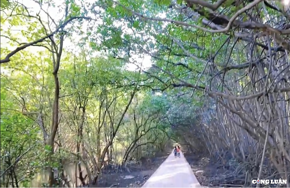 Dao khi Can Gio - diem du lich hap dan cho chuyen di ngan ngay-Hinh-4