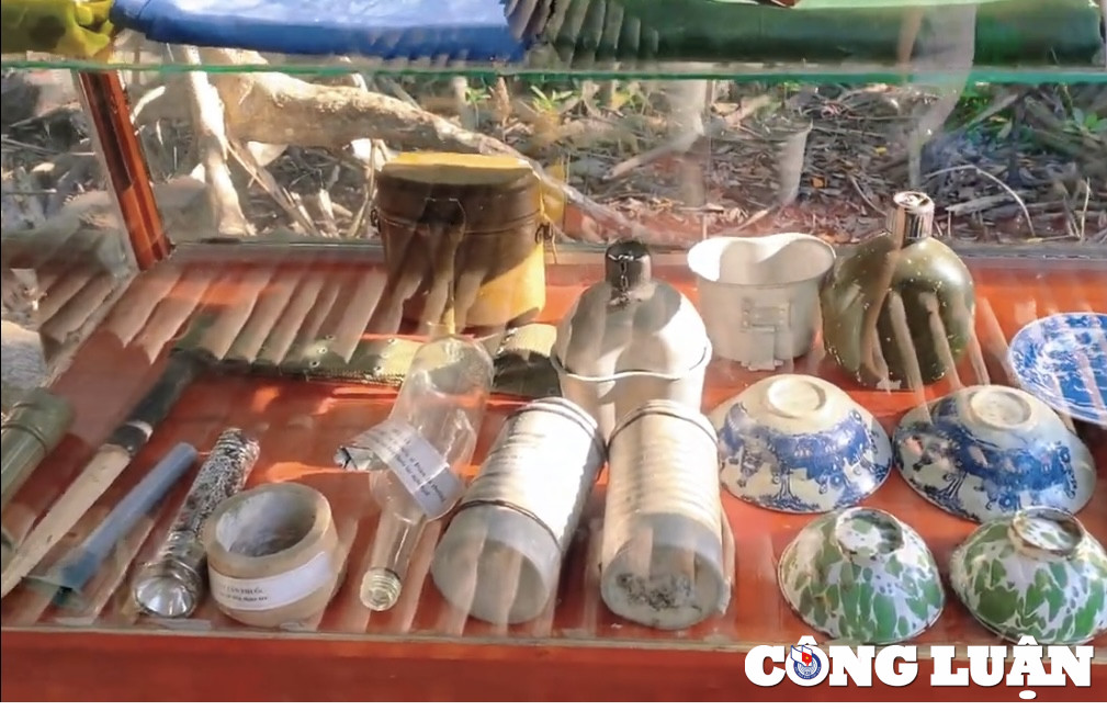 Dao khi Can Gio - diem du lich hap dan cho chuyen di ngan ngay-Hinh-8