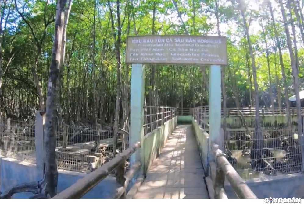 Dao khi Can Gio - diem du lich hap dan cho chuyen di ngan ngay-Hinh-5