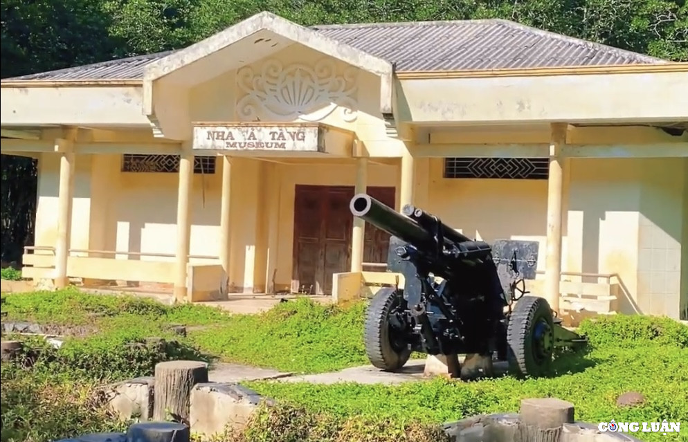 Dao khi Can Gio - diem du lich hap dan cho chuyen di ngan ngay-Hinh-7