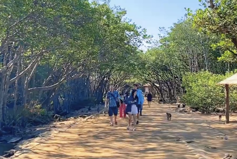 Dao khi Can Gio - diem du lich hap dan cho chuyen di ngan ngay