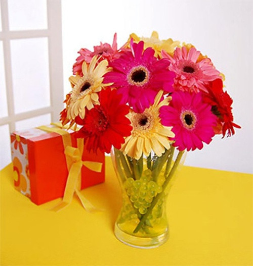 Hoa đồng tiền: Hoa đồng tiền là loại hoa tượng trưng cho tiền tài, những bông hoa đồng tiền mang lại ước vọng về một năm mới thịnh vượng và tài lộc. Đặc biệt với hai loại đồng tiền đơn và đồng tiền kép, loại hoa này còn có nhiều màu sắc rực rỡ như đỏ, cam, vàng... để giúp cho bình hoa ngày Tết của gia đình bạn thêm bắt mắt, ấn tượng. Nếu bạn không có nhiều thời gian thì chỉ một bông hoa đồng tiền đỏ cam mạnh mẽ cắm trong lọ cũng đủ để mang lại lời ước nguyện may mắn cho năm mới rồi.