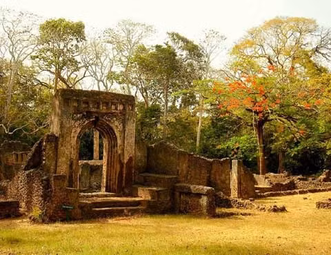 Cổng vào còn khá nguyên vẹn của một tòa lâu đài tại Gedi.