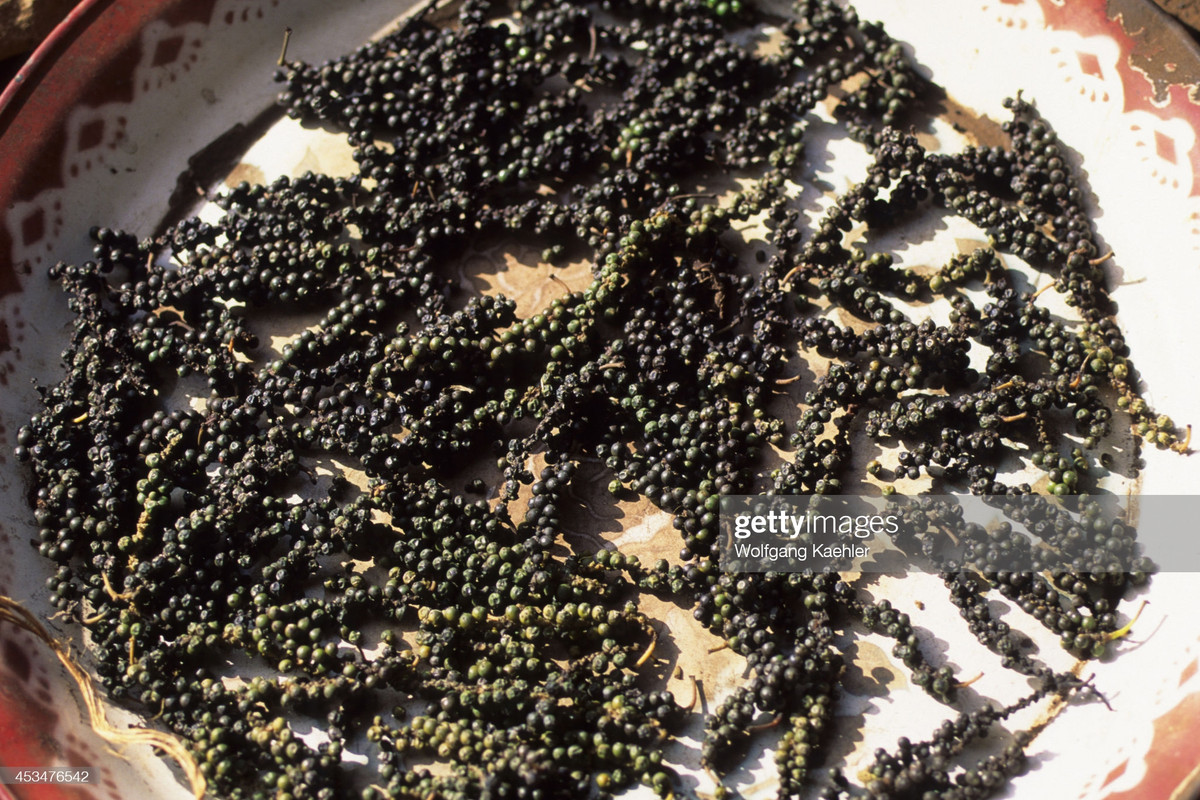 Hố tiêu được phơi nắng sau khi thu hoạch tại một nhà dân ở Đắk Lắk.