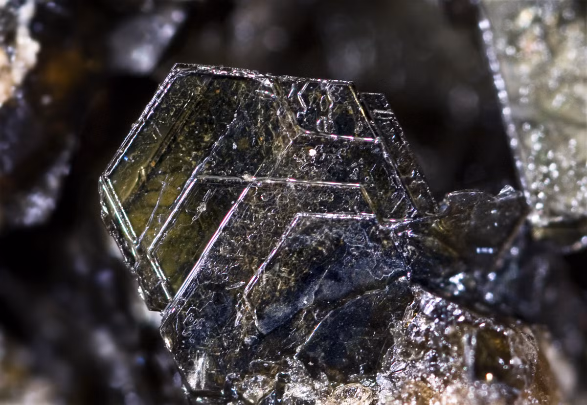 Biotite hay mica đen là một hiđrôxit aluminosilicat magiê sắt kali chứa flo. Nó rất dồi dào trong đá mắc-ma và đá biến chất.