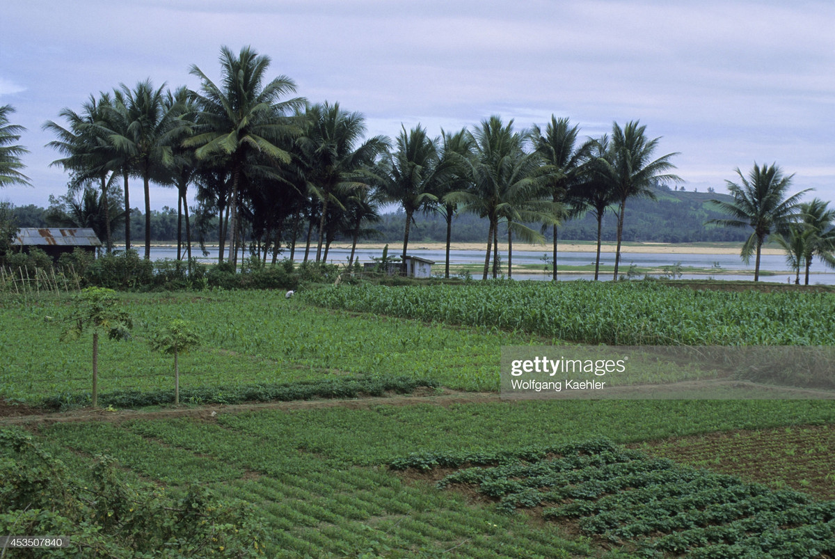 Ruộng vườn ở gần làng Sơn Mỹ.