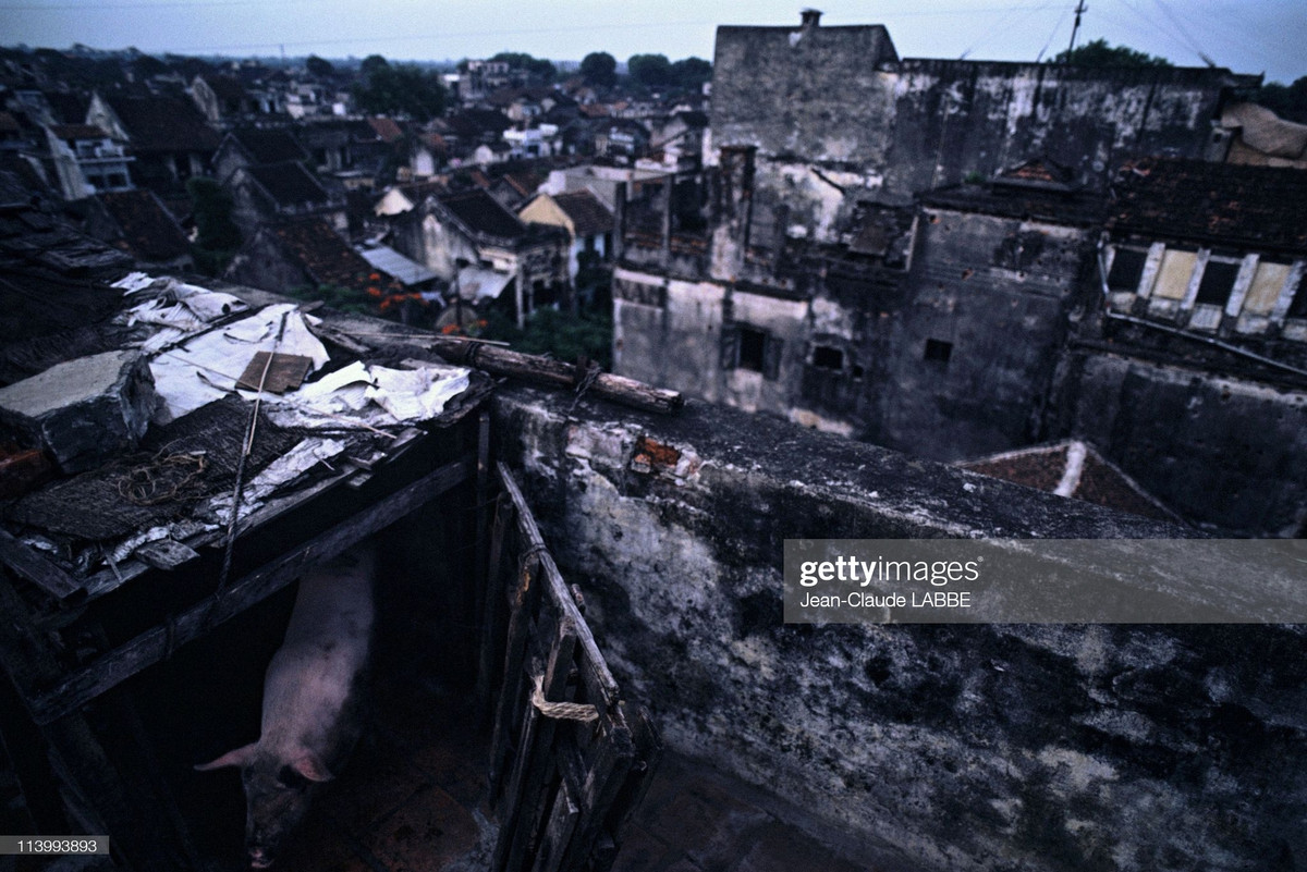 Khung cảnh nhìn từ sân thượng một tòa nhà trong phố cổ Hà Nội.