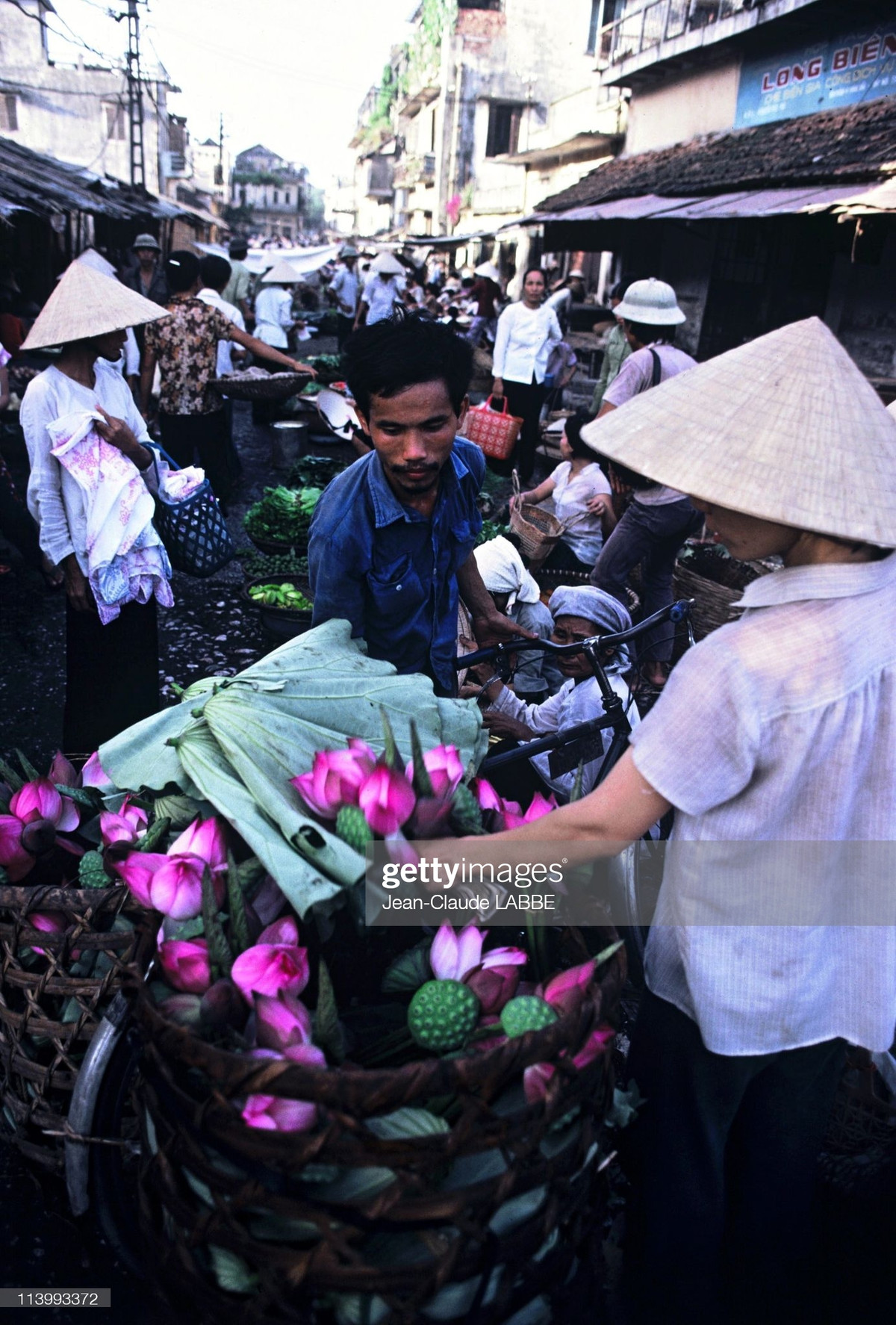 Những bó sen được bán trên xe đạp ở phố Hàng Giày.