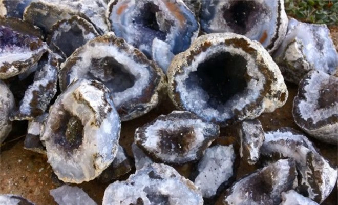 Hai cha con ngay nguoi khi nhin thay thu ben trong dong 