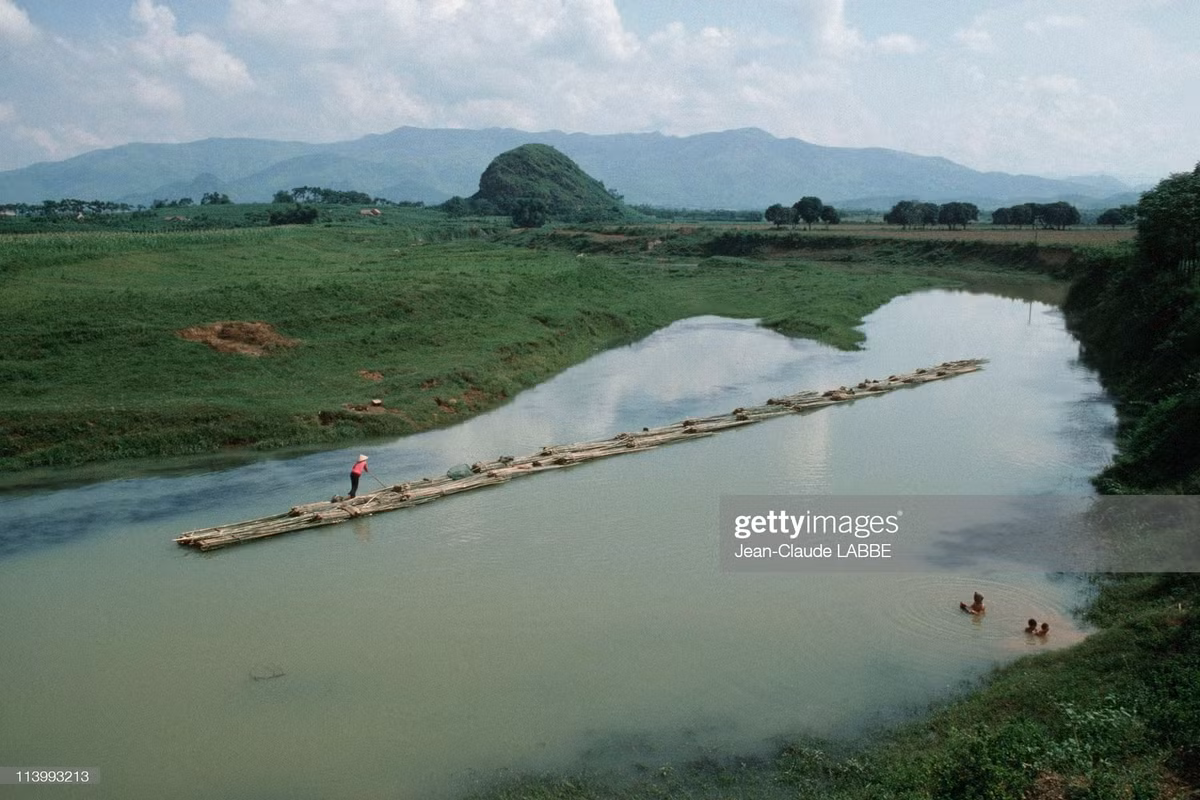 Tre nứa được kết thành bè mảng để vận chuyển trên sông ở Điện Biên.