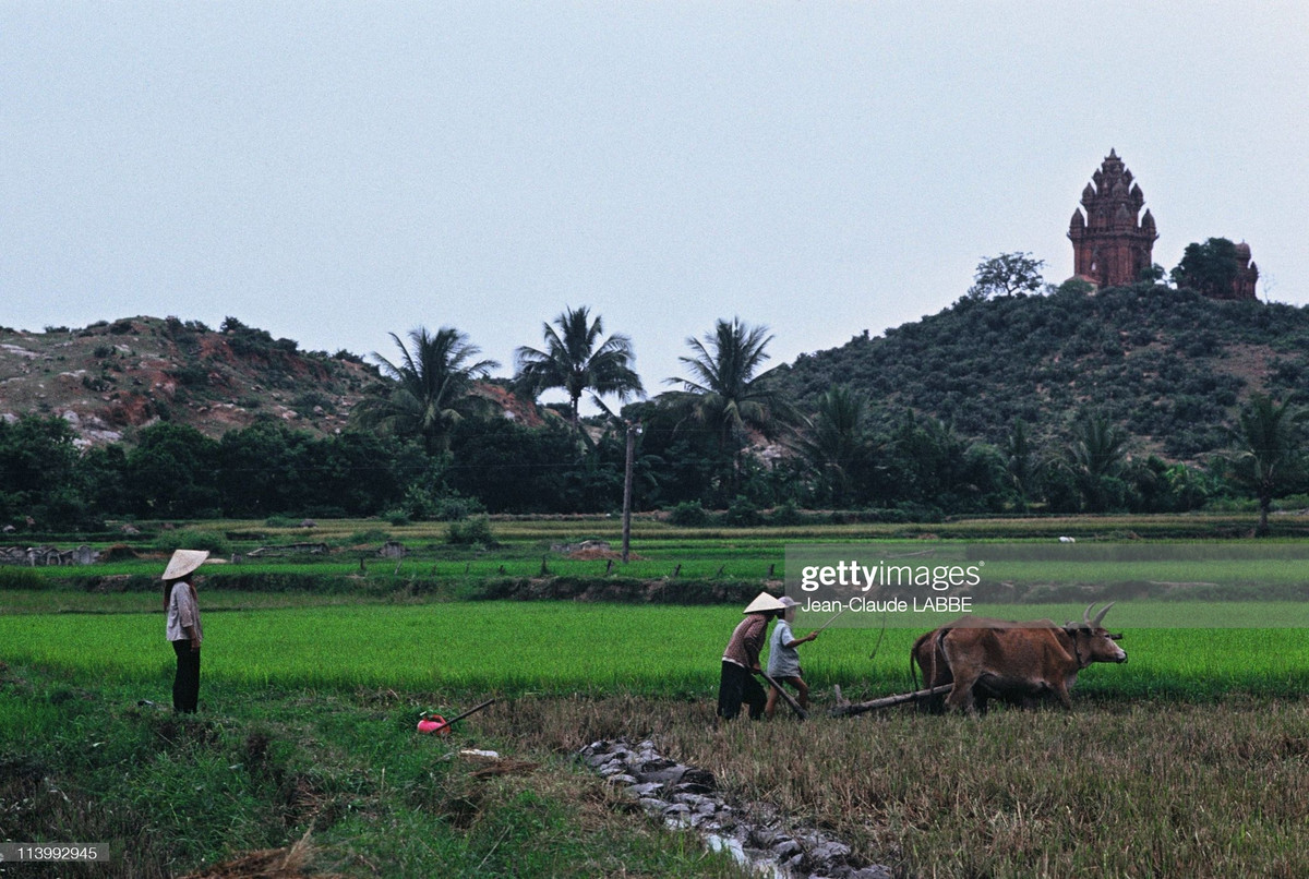 Tháp Chăm Po Klong Garai ở Phan Rang - Tháp Chàm nhìn từ đồng ruộng dưới chân núi.