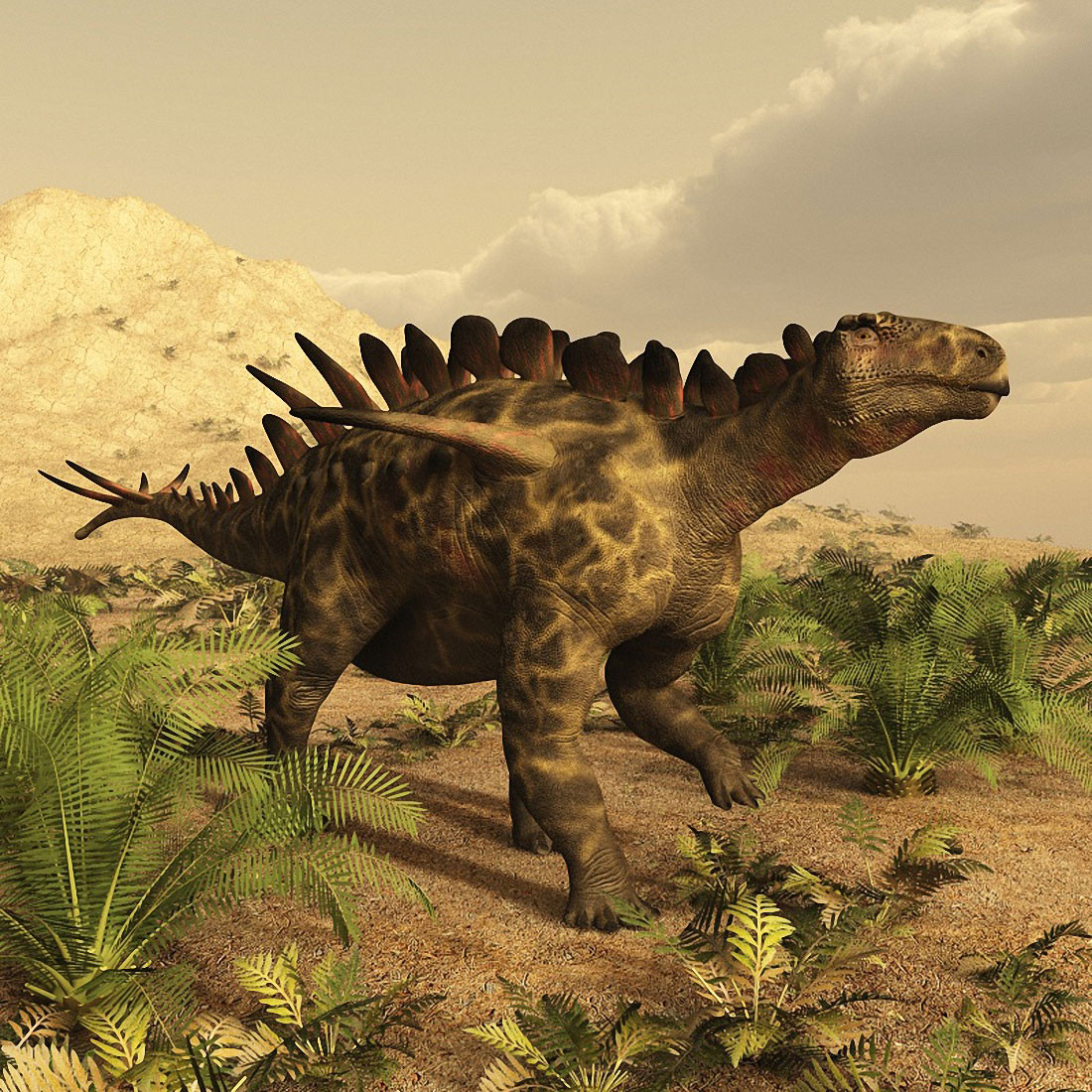 Huayangosaurus là chi khủng long sống vào kỷ Jura Trung, khoảng 165 triệu năm trước, phân bố ở Trung Quốc. Chúng có kích thước khiêm tốn hơn các loài khủng long gai khác, với chiều dài khoảng 4,5 mét, gai trên lưng cũng nhỏ hơn. Dù vậy, cặp "sừng" ở vai Huayangosaurus khá dài.