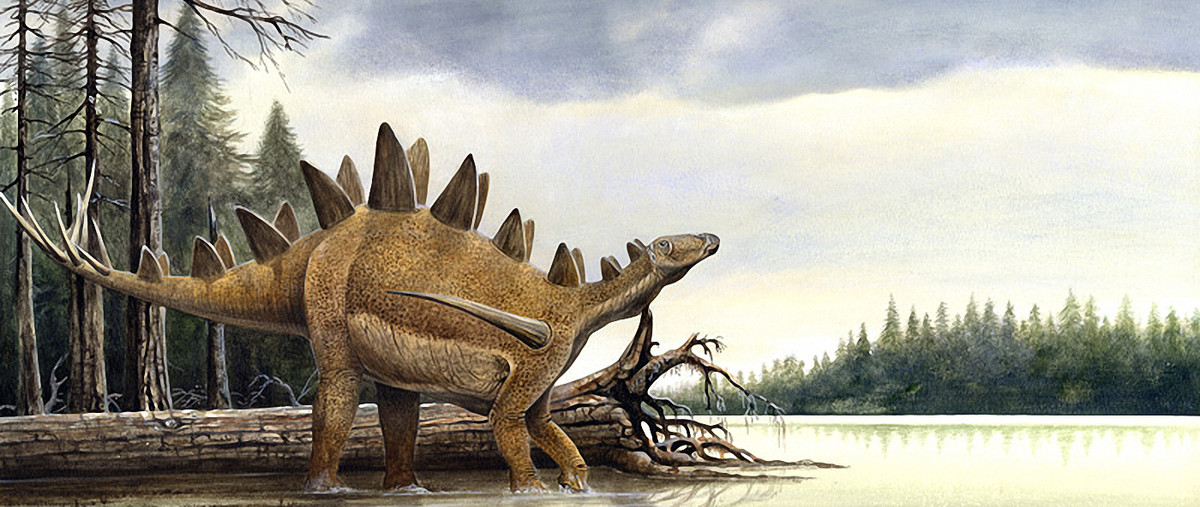 Dacentrurus là chi khủng long sống vào cuối kỷ Jura, cùng thời với Stegosaurus, được ghi nhận tại châu Âu. Chúng có kích cỡ rất lớn so với các các loài khủng long gai khác, với chiều dài có thể lên đến 8 mét, nặng 5 tấn. Tương tự Kentrosaurus, Dacentrurus cũng mọc "sừng" ở vai.