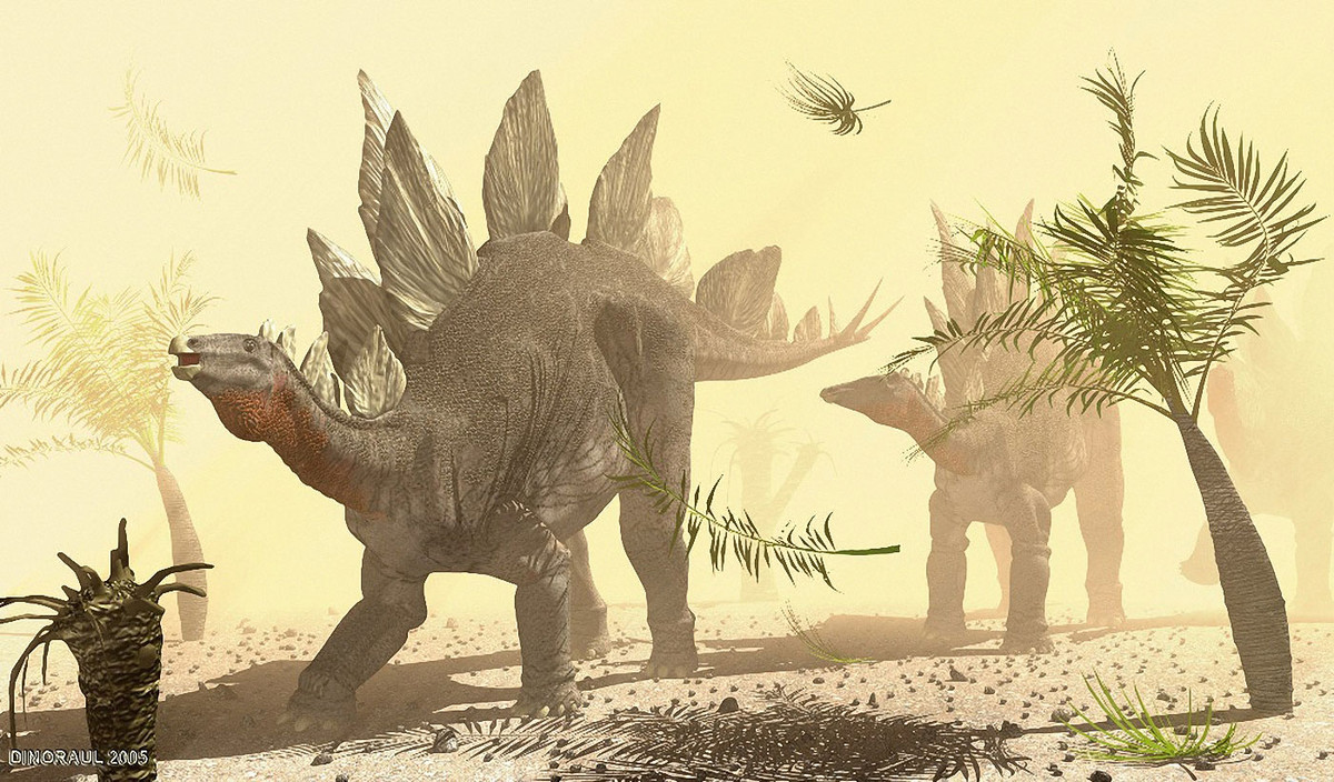 Stegosaurus (389) là chi khủng long sống vào kỷ Jura - Phấn Trắng, 150-145 triệu năm trước, hóa thạch được tìm thấy ở Bắc Mỹ và châu Âu. Những con khủng long gai nổi tiếng này dài 6 mét, nặng 2 tấn. Tấm sừng trên lưng chúng rộng bản, có thể dùng để tỏa nhiệt hoặc quyến rũ bạn tình bên cạnh chức năng tự vệ. Ảnh: Dinodata.de.