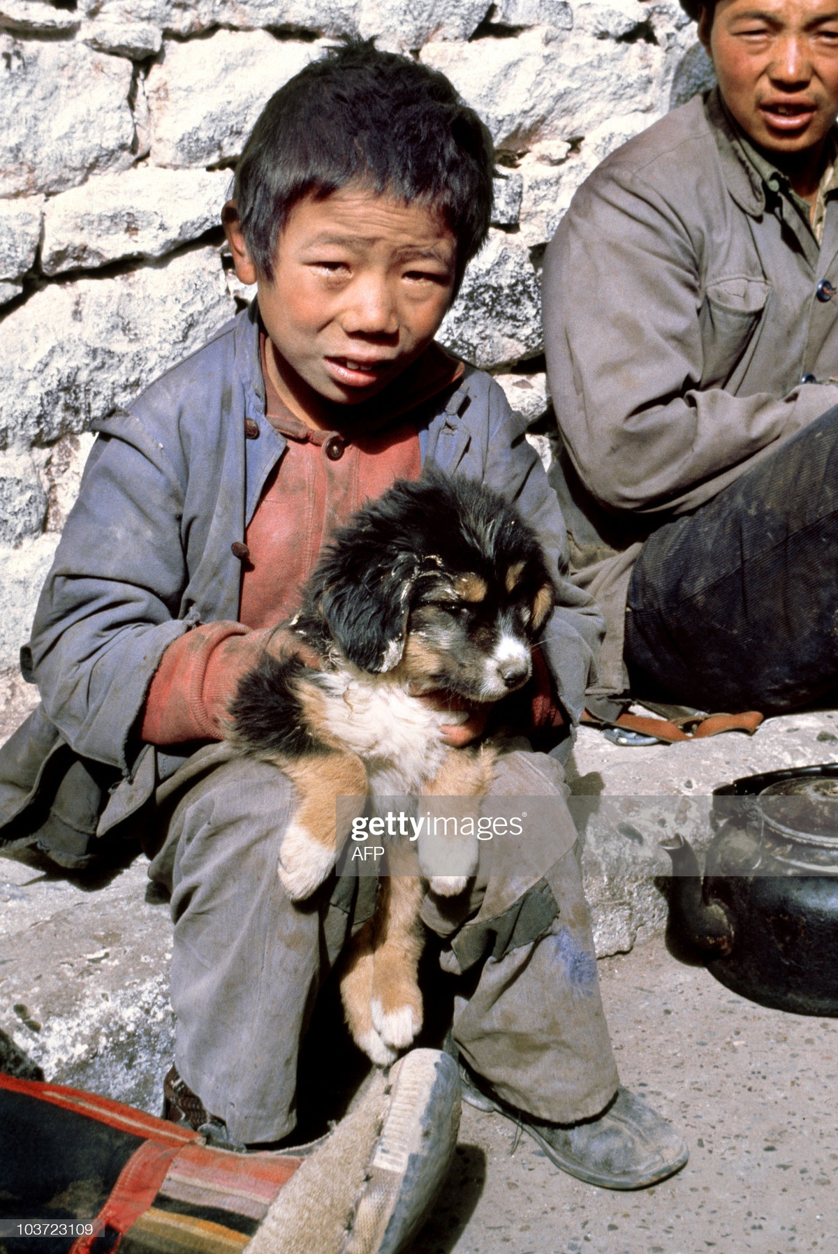 Chú bé và con chó ngao Tây Tạng còn non.
