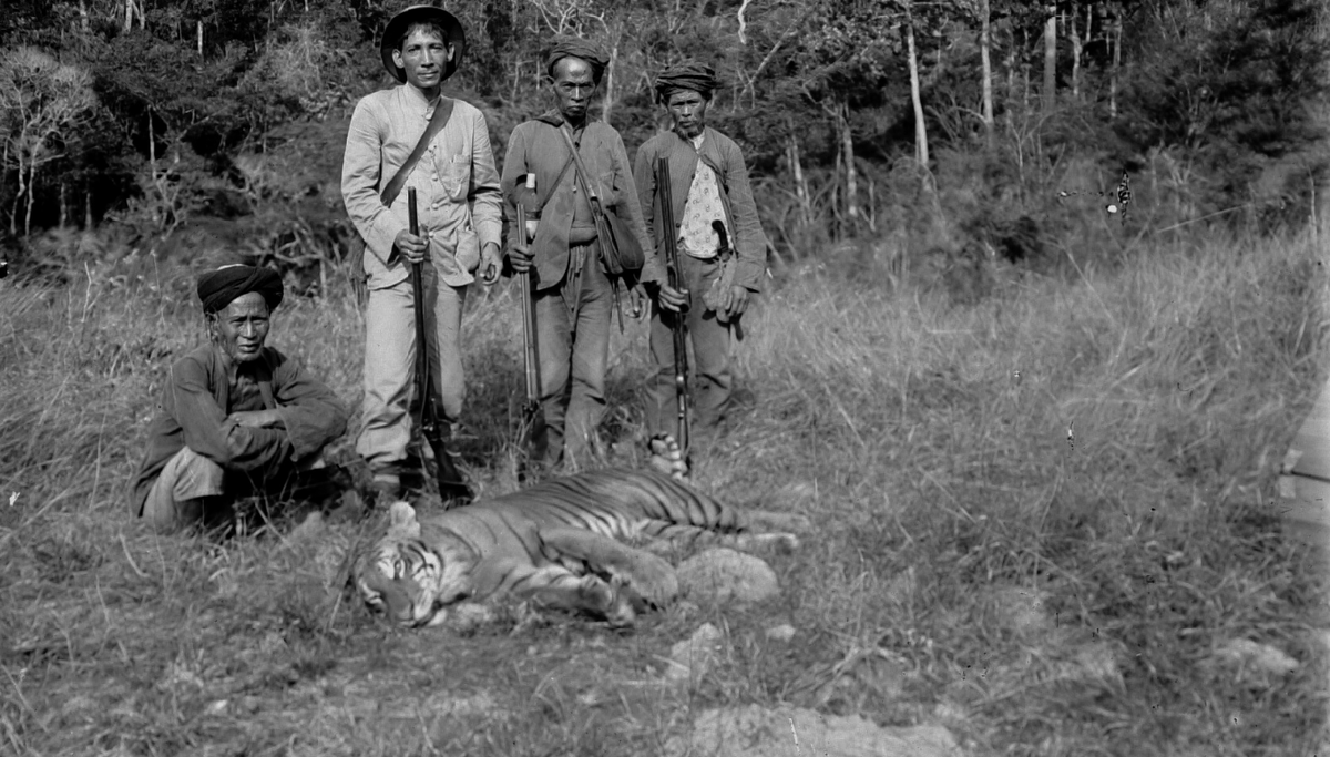 Hổ Java (Panthera tigris sondaica) nặng từ 100-140 kg, là một nòi hổ đã tuyệt chủng, từng tồn tại trên đảo Java của Indonesia. Con hổ Bali cuối cùng được nhìn thấy vào năm 1979. Có lẽ chúng đã tuyệt chủng hoàn toàn trong thập niên 1980.