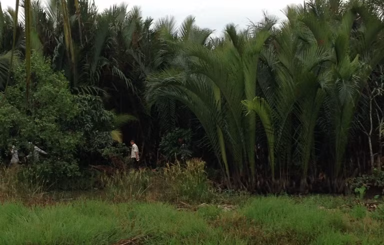 Lực lượng Công an, BVDP, dân phòng và người dân địa phương cùng tham gia truy bắt 2 tên cướp