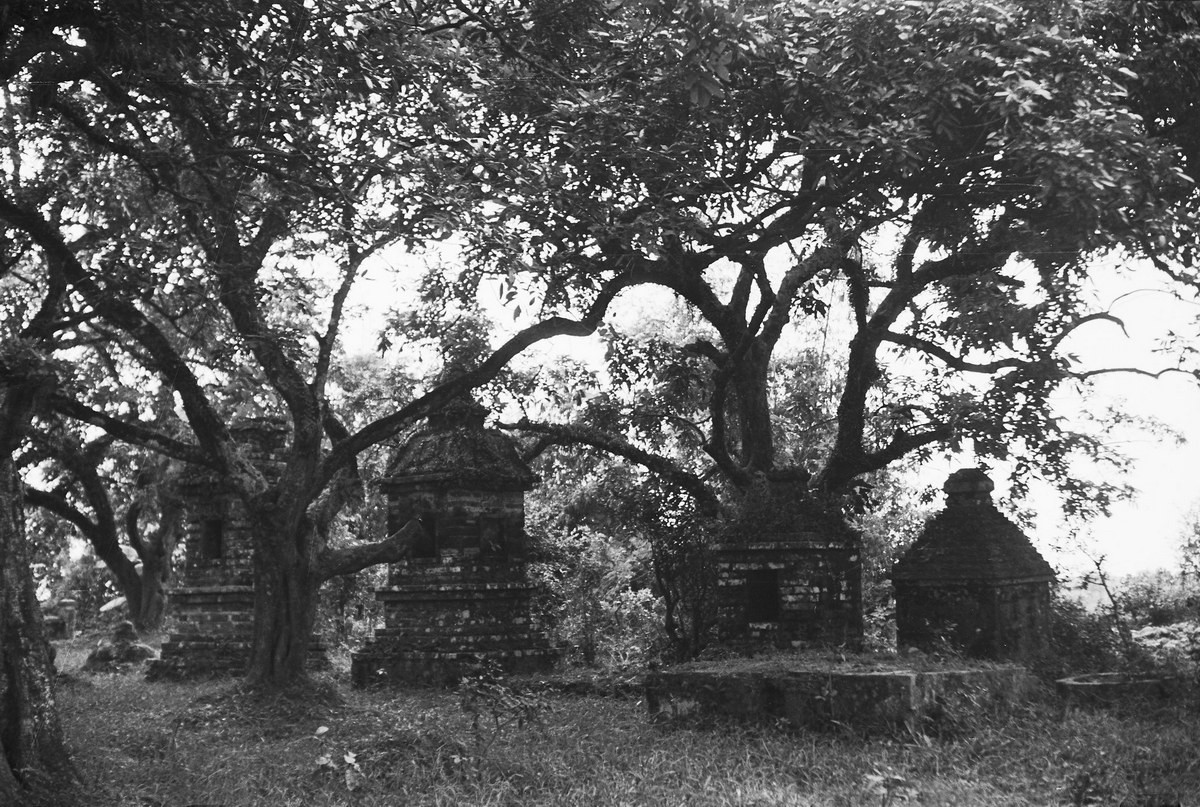 Không gian u tịch ở khu vườn tháp.