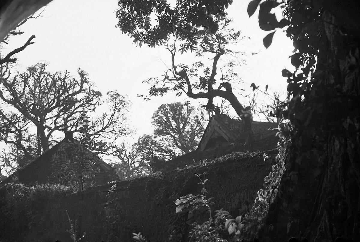 Bức tường cổ kính rêu phong bao quanh các điện thờ.