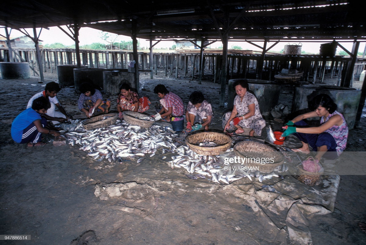 Những người phụ nữ sơ chế cá ở một làng chài Malaysia.