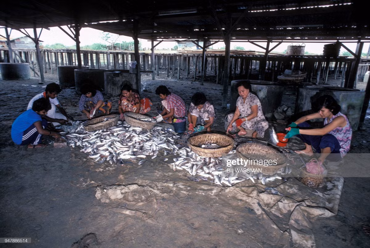 Những người phụ nữ sơ chế cá ở một làng chài Malaysia.