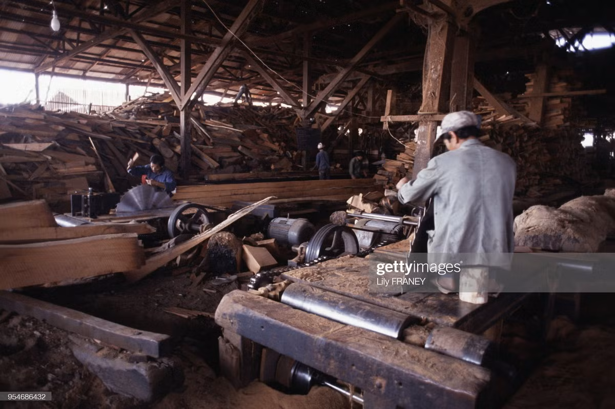 Trong một xưởng cưa xẻ gỗ ở Vientiane.