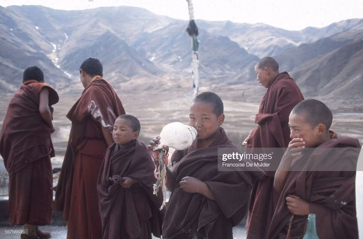 Chú tiểu ở chùa Rato cầm chiếc dung-dkar (tù và vỏ ốc), một nhạc cụ dùng trong nghi lễ tôn giáo ở Tây Tạng.