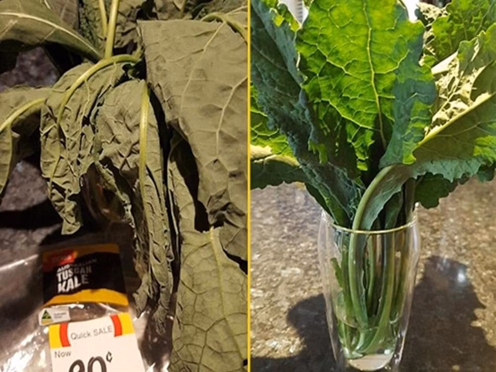 Mẹo cực hay "hồi sinh" rau héo thành rau tươi trong nửa nốt nhạc Meo cuc hay