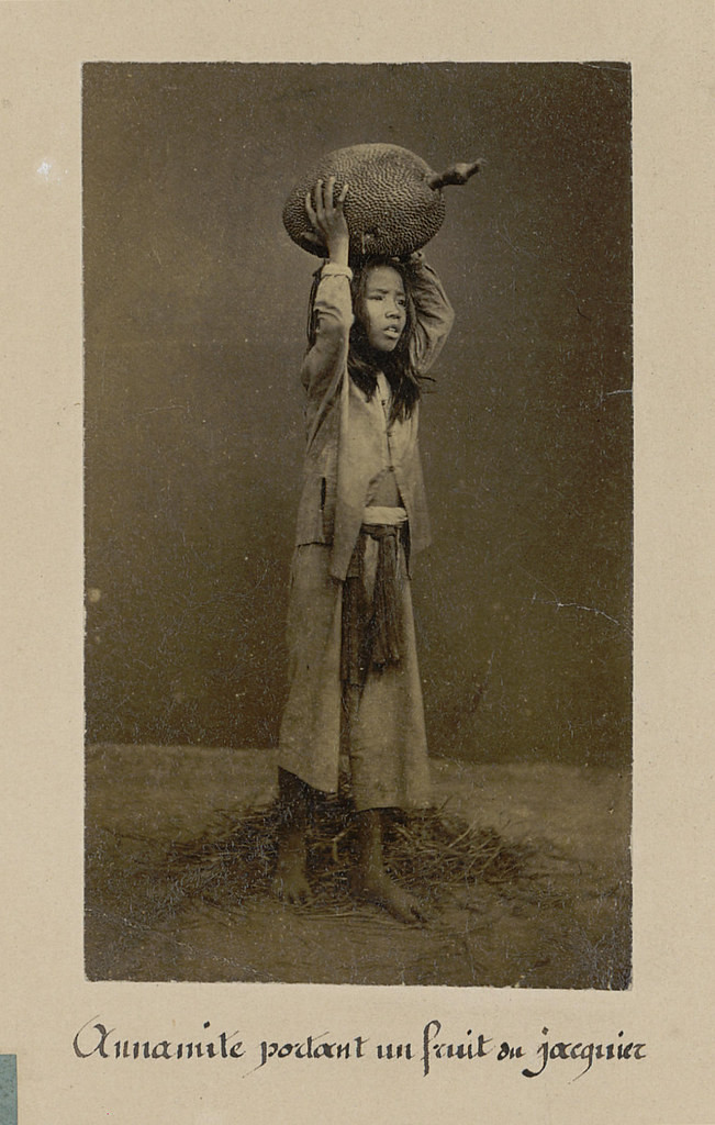 Cô bé và quả mít.