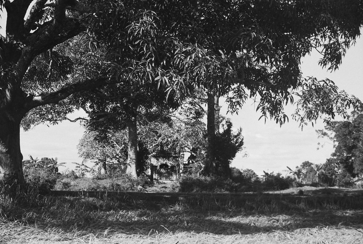 Ngày nay chùa Láng nằm giữa một khu vực đô thị sầm uất của nội đô Hà Nội.