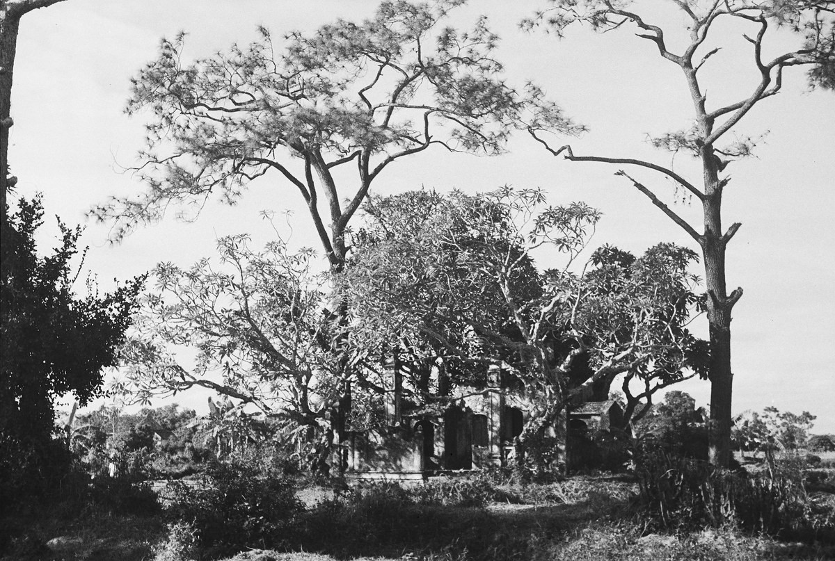 Những tán cây um tùm bao phủ lên công trình kiến trúc.