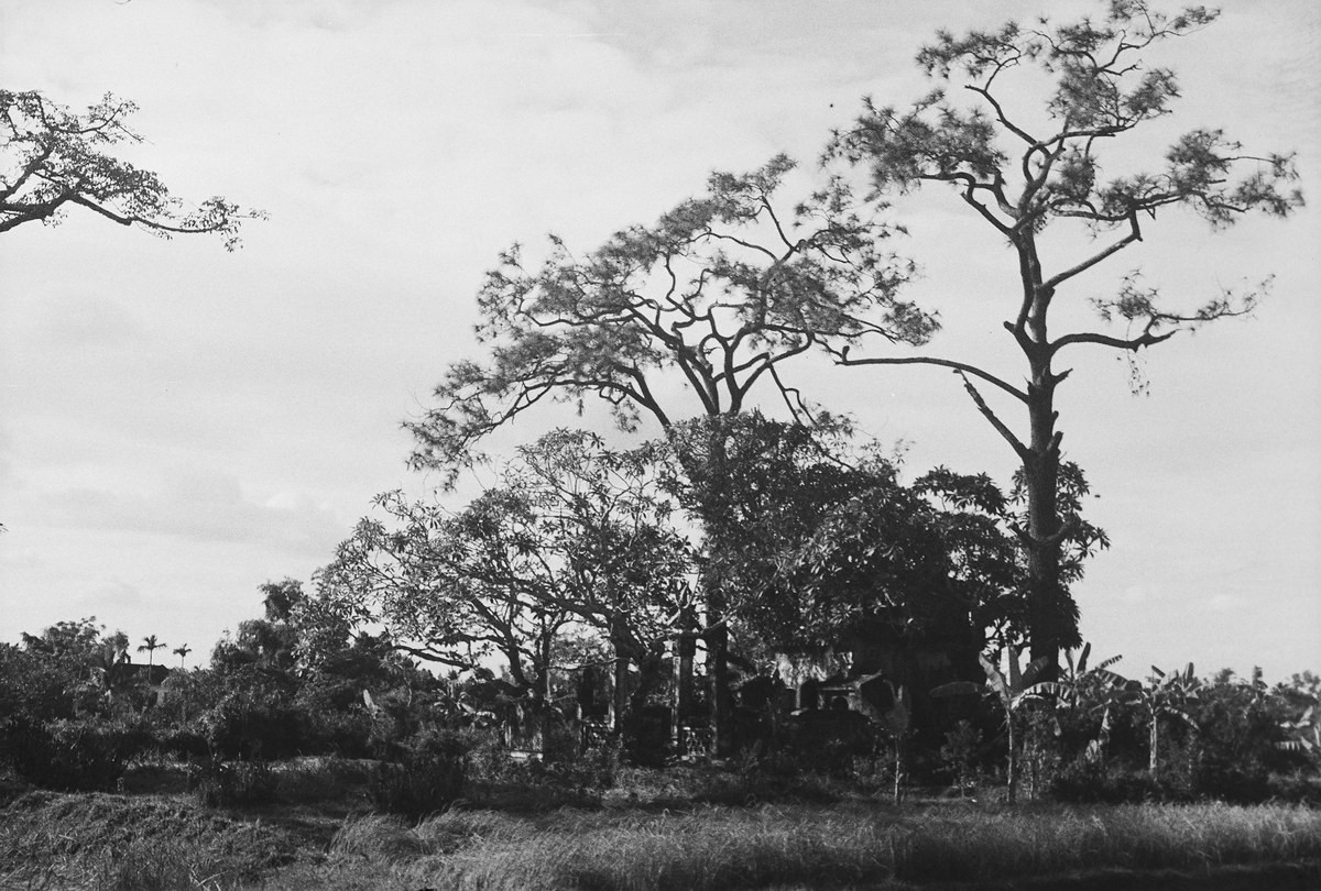 Vào năm 1952, xung quanh chùa Láng còn rất vắng vẻ, hoang vu.