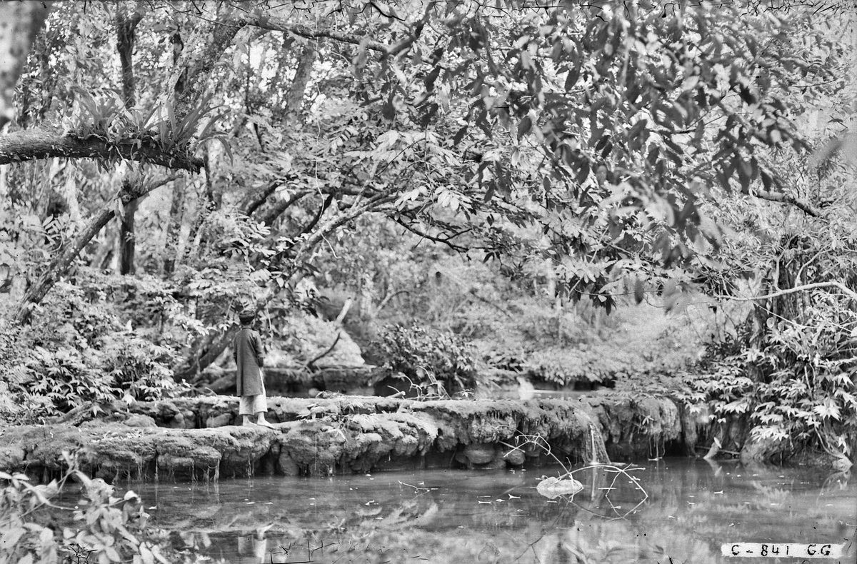 Đoạn suối có "cá thần".