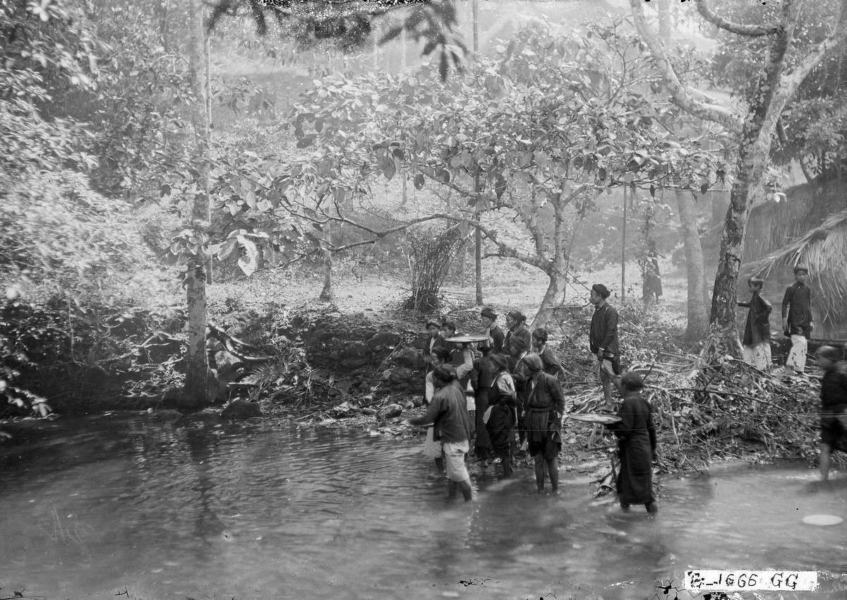 Khách hành hương ném thức ăn cho "cá thần" ở đền Phố Cát.