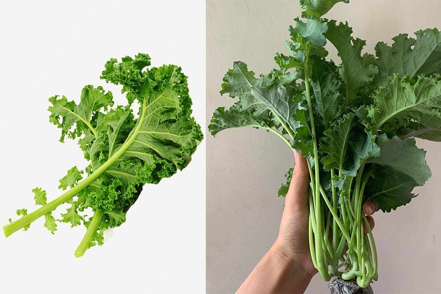 4 thuc pham co vi dang nhung bao ve suc khoe