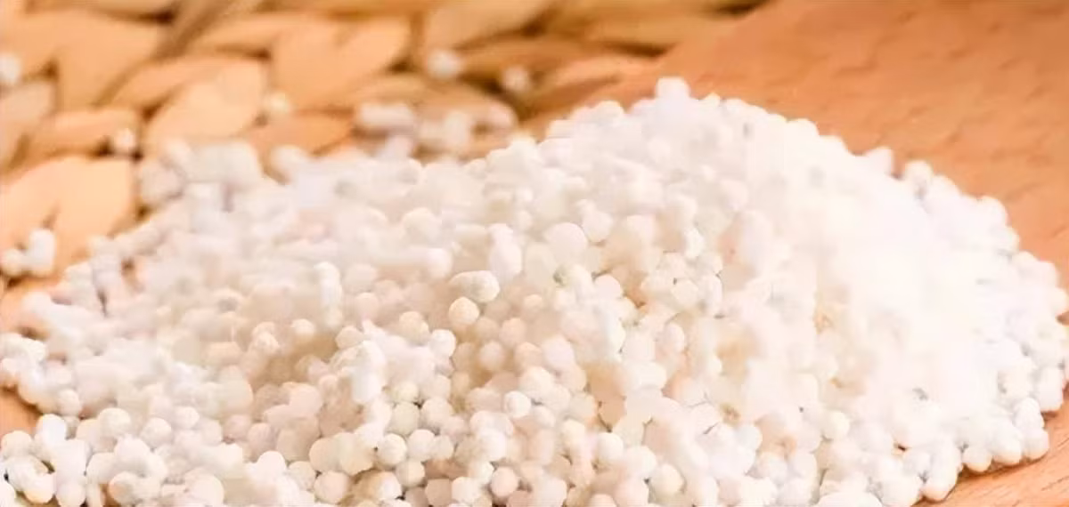 Bi an loai dua khong ra qua, nhung co the nuoi song con nguoi-Hinh-5