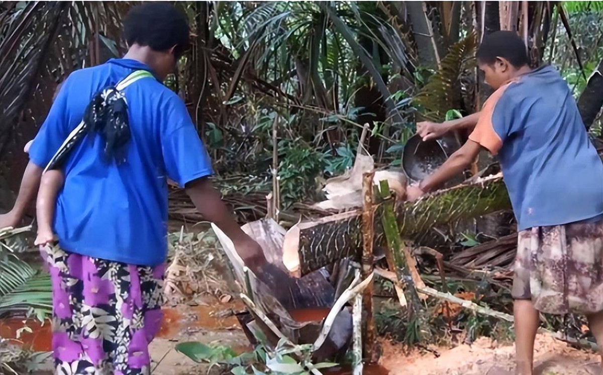 Bi an loai dua khong ra qua, nhung co the nuoi song con nguoi-Hinh-2