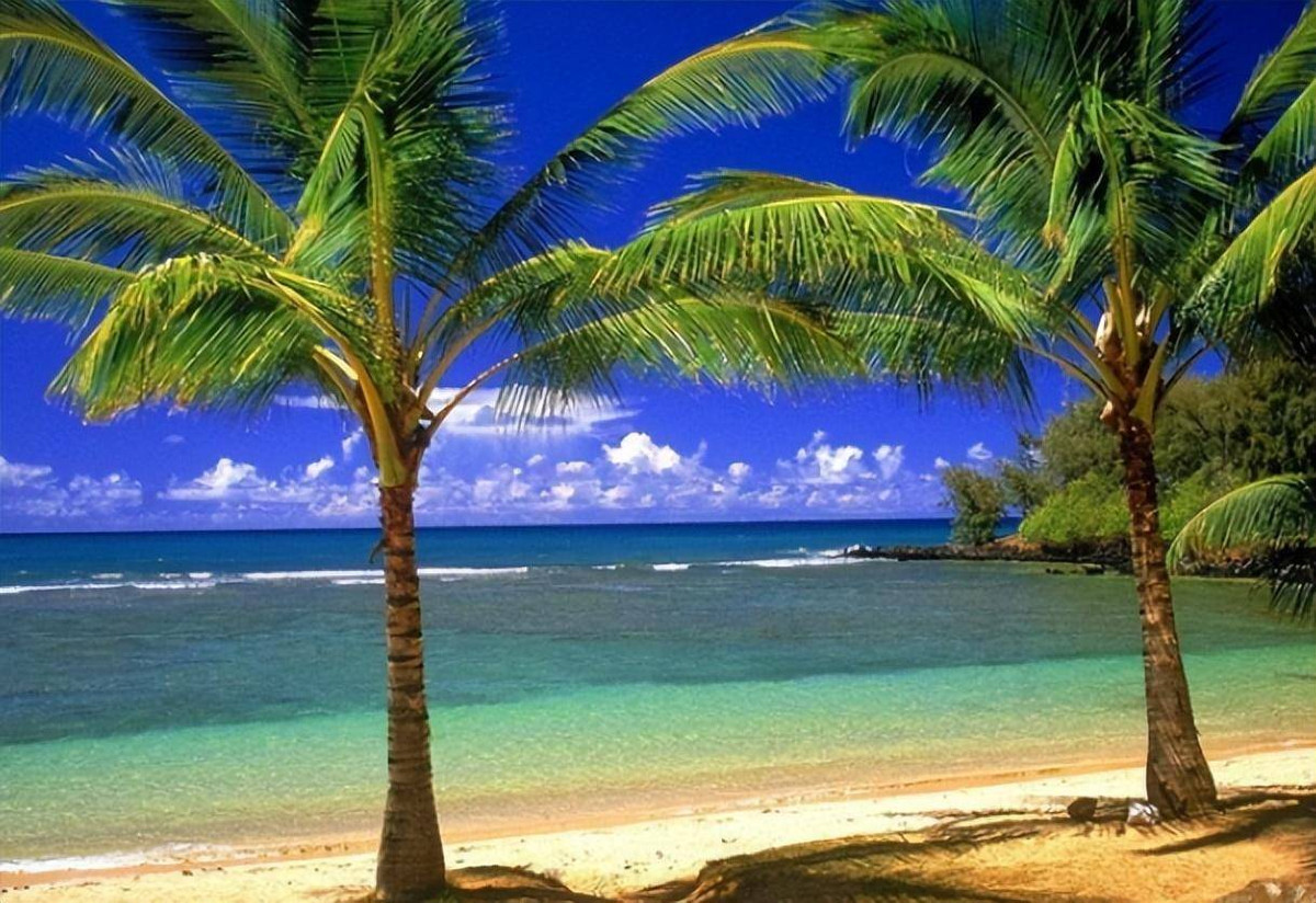 Bi an loai dua khong ra qua, nhung co the nuoi song con nguoi