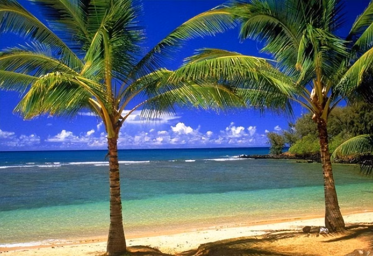 Bi an loai dua khong ra qua, nhung co the nuoi song con nguoi