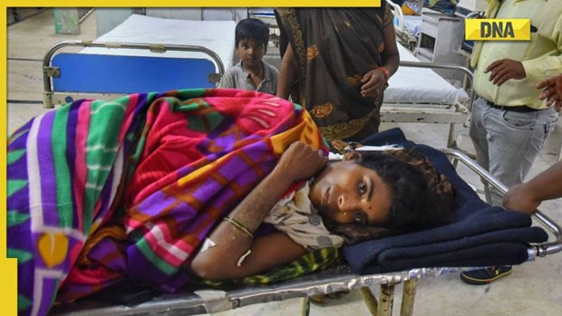 Người mẹ gan dạ tay không đánh hổ bảo vệ con nhỏ tại Ấn Độ Nguoi me gan da tay khong danh ho bao ve con nho tai An Do