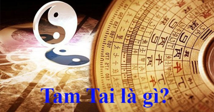 Hạm Tam Tai là gì? Tam có nghĩa là Ba, số 3, thứ ba. Còn “Tai” nghĩa là tai họa, họa hại. Đây là hạn xấu mà 12 con giáp sẽ gặp trong một số năm nào đó trong cuộc đời. Và trong một đời người như vậy cứ sau 12 năm thì lại gặp hạn tam tai một lần. Tức là cứ 12 năm thì có 3 năm liên tiếp gặp hạn tam tai. Điều này xảy ra được xem như là một quy luật. một vòng tuần hoàn. Vào các năm hạn Tam Tai, người bị hạn sẽ gặp khó khăn, khốn đốn, dễ gặp tai họa. 