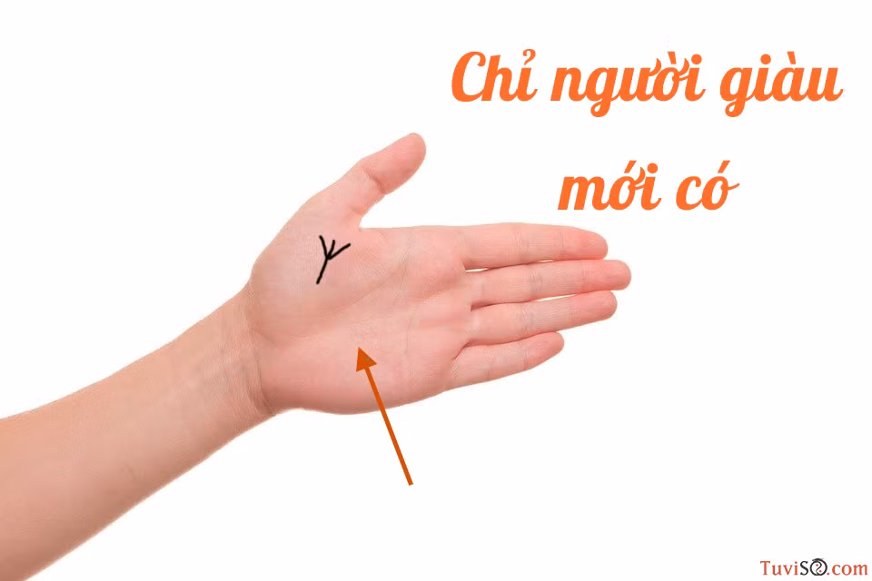 Bởi đó là biểu tượng của quyền lực, sự may mắn và tầm ảnh hưởng. Sự xuất hiện rõ ràng của đường chỉ tay đặc biệt này là dấu hiệu cho thấy bạn sẽ nắm quyền lực trong tay, trở thành người có sức ảnh hưởng lớn trong tập thể hoặc giữ một vị trí quan trọng nào đó. Tuy nhiên, khi nó xuất hiện mờ nhạt, không rõ nét thì chỉ thể hiện rằng bạn đang có tham vọng lớn hay dự tính đột phá nào đó trong tương lai gần mà thôi.