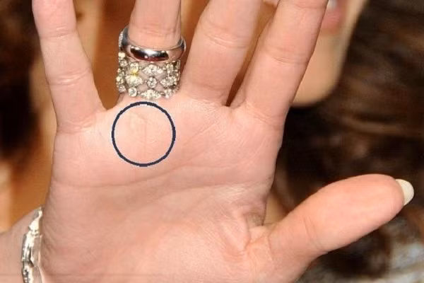 Nếu đường chỉ tay này xuất hiện ở trên đường trí đạo, bạn hãy vui mừng vì đó là điềm báo hiệu về sự thành công trong sự nghiệp hay phát tài phát lộc. Ở bất cứ vị trí nào trong lòng bàn tay có chỉ tay hình cá đều mang lại nhiều may mắn về tiền bạc cho chủ nhân.