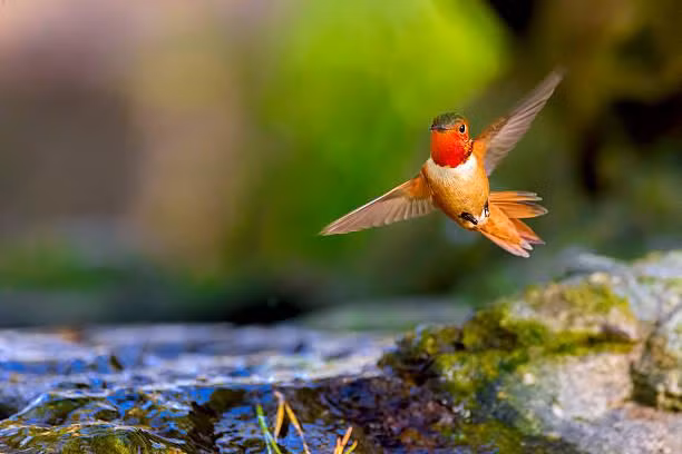 Sinh ngay Am lich nay troi sinh co so dao hoa-Hinh-2