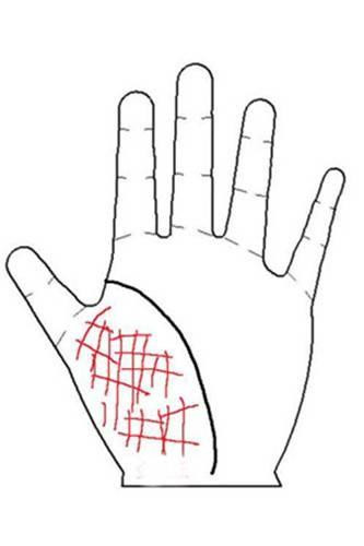 Chỉ tay hình lưới. Hình lưới mang ý nghĩa về sự giăng bẫy, bế tắc, không lối thoát. Khi thấy có những đường chỉ tay ngang dọc cắt nhau tạo thành hình như chiếc lưới, bạn nên đề phòng kẻ tiểu nhân đeo bám, tìm cách quấy phá.