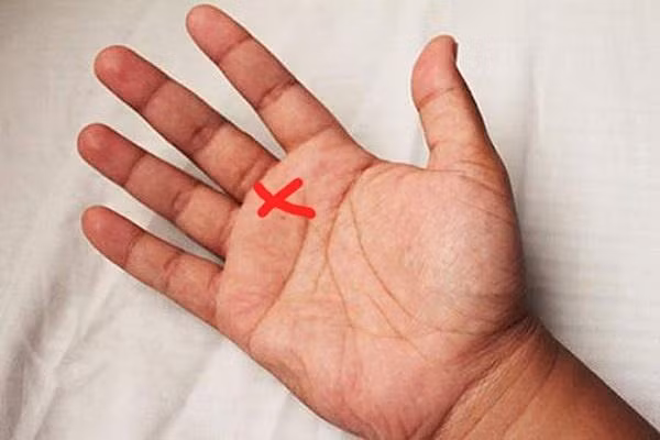 Chỉ tay hình cá. Theo quan điểm phong thủy, cá là biểu tượng của sự giàu có, thịnh vượng. Đường chỉ tay hình cá xuất hiện được coi là quý tướng, phải may mắn lắm bạn mới có được.