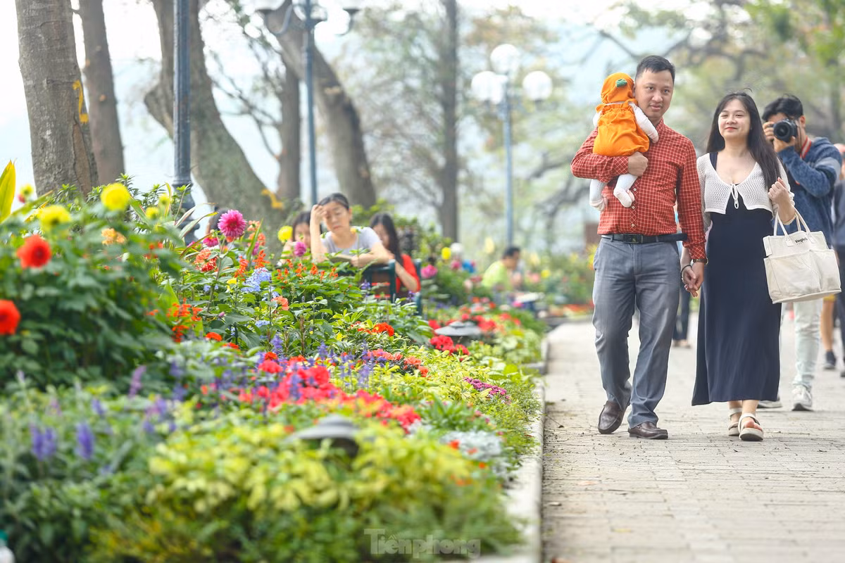 Ho Hoan Kiem ruc ro sac hoa xuan-Hinh-6